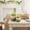 GREEK LEAF CEMENT FLOWER POT SET/2