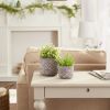 BLACK SCALLOPED CEMENT FLOWER POT SET/2